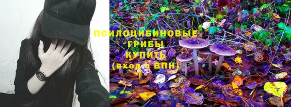мяу мяу мука Кинешма
