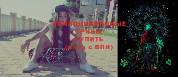 круглые Карпинск