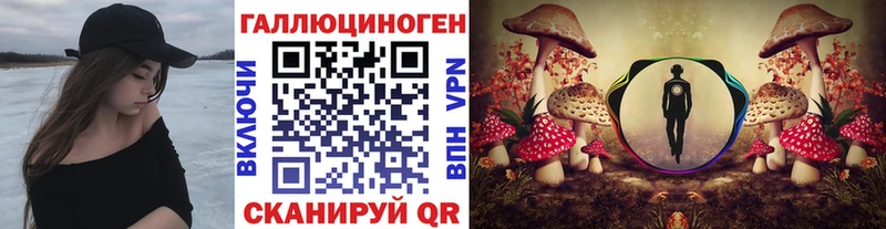 Купить где  Бронницы  Галлюциногенные грибы Psilocybine cubensis 